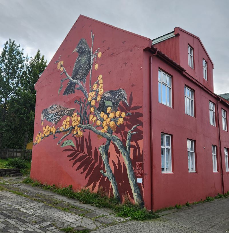 The Wall Art in&nbsp;Reykjavik