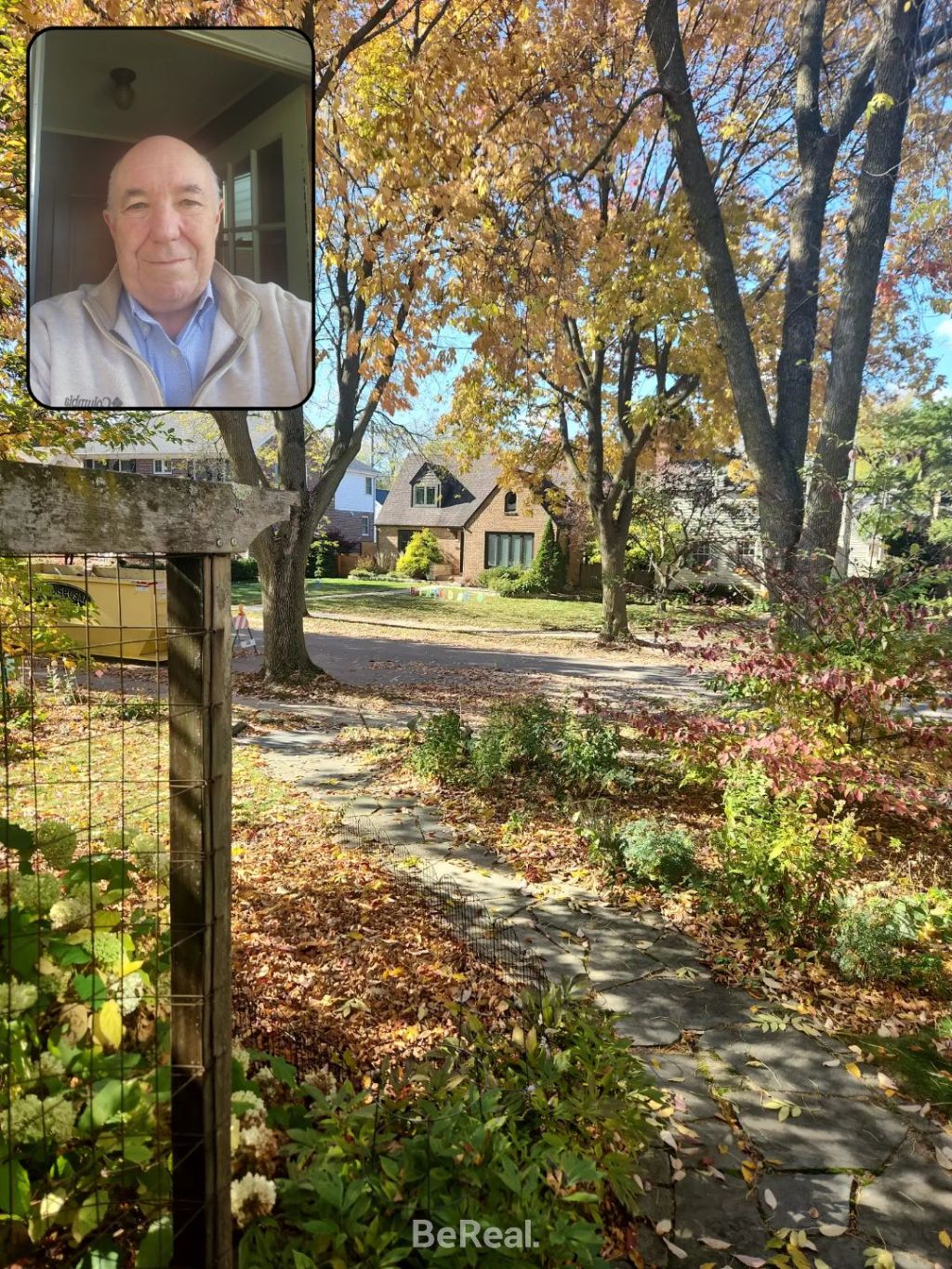 How BeReal Became my Favorite Social Media Platform